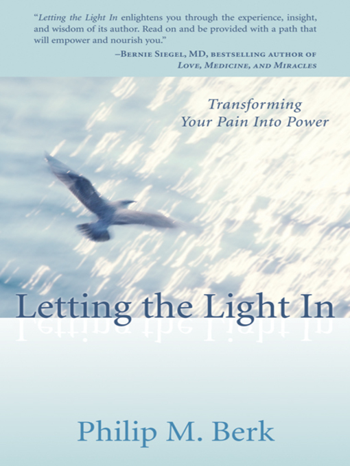 Title details for Letting the Light In by Philip M. Berk - Available